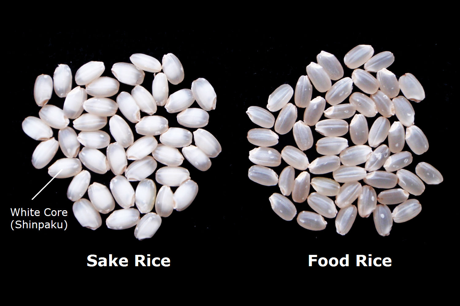 Sake Rice: A Deep Dive into the Heart of Japan's Beloved Beverage – The ...